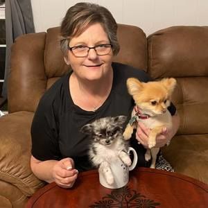 Meet your Posher, Sandra